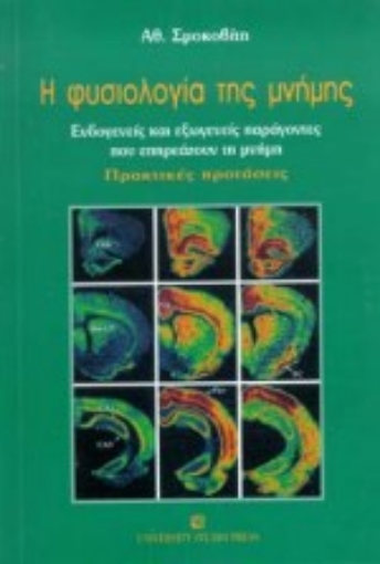Εικόνα της Η φυσιολογία της μνήμης