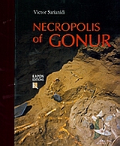 Εικόνα της Necropolis of Gonur