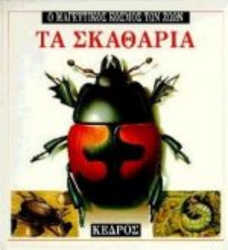 Εικόνα της Τα σκαθάρια