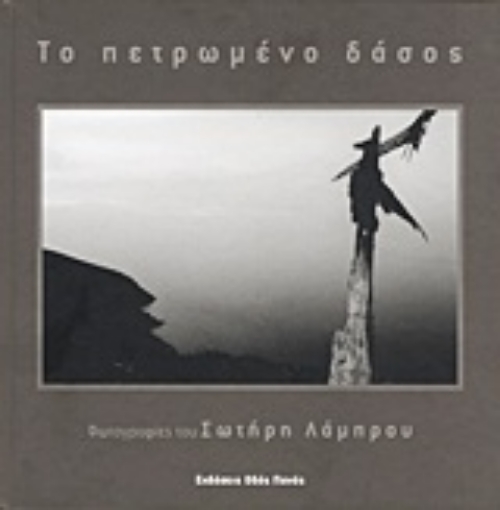 Εικόνα της Το πετρωμένο δάσος