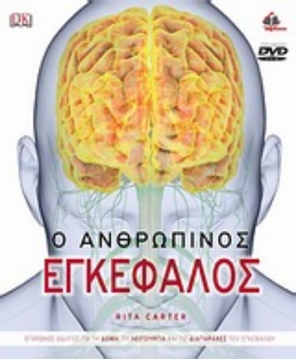 Εικόνα της Ο ανθρώπινος εγκέφαλος