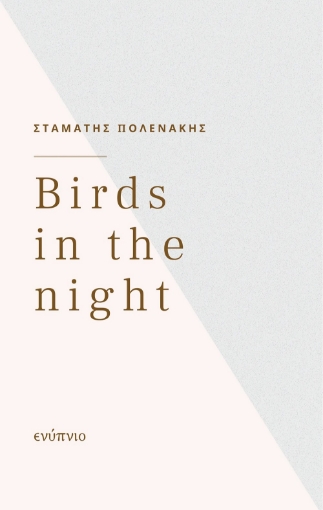 273131-Birds in the night