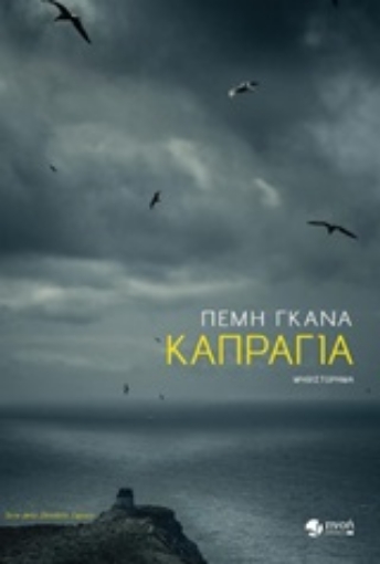 253228-Καπράγια