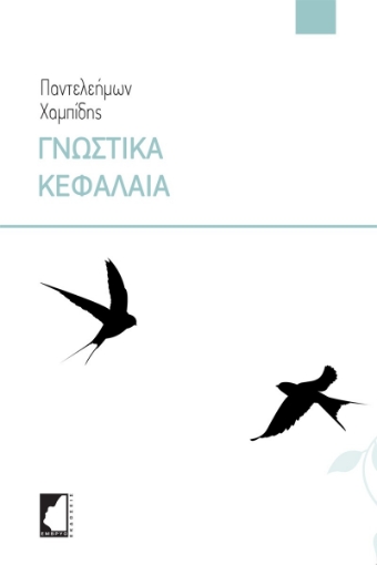 262242-Γνωστικά κεφάλαια