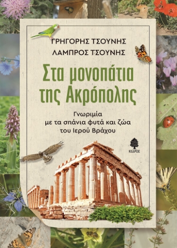 266966-Στα μονοπάτια της Ακρόπολης