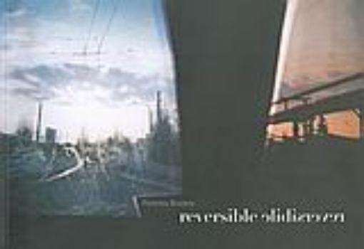 52996-Reversible