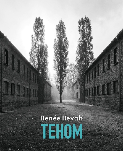 290018-Tehom